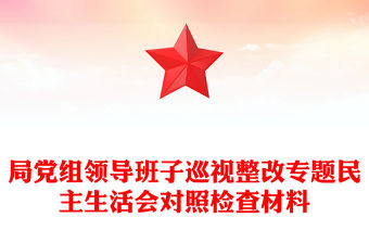 局黨組領導班子巡視整改專題民主生活會對照檢查材料