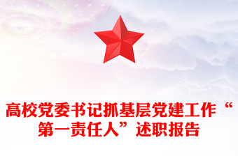 高校黨委書記抓基層黨建工作“第一責(zé)任人”述職報告