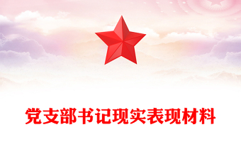 黨支部書記現(xiàn)實表現(xiàn)材料