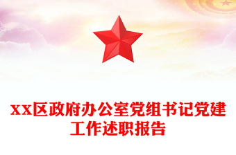 XX區(qū)政府辦公室黨組書(shū)記黨建工作述職報(bào)告