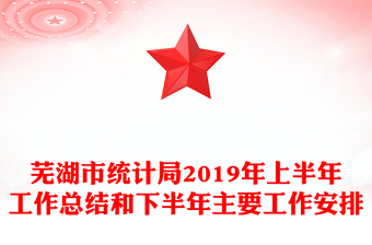 蕪湖市統(tǒng)計局2019年上半年工作總結(jié)和下半年主要工作安排