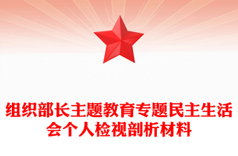 組織部長主題教育專題民主生活會(huì)個(gè)人檢視剖析材料
