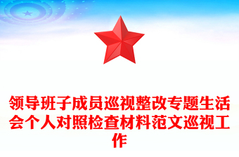 領(lǐng)導(dǎo)班子成員巡視整改專題生活會個人對照檢查材料范文巡視工作