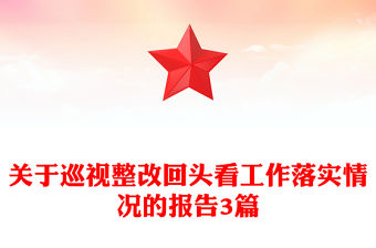 關于巡視整改回頭看工作落實情況的報告3篇