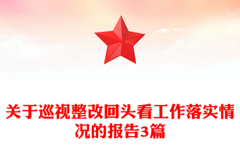 關(guān)于巡視整改回頭看工作落實(shí)情況的報(bào)告3篇