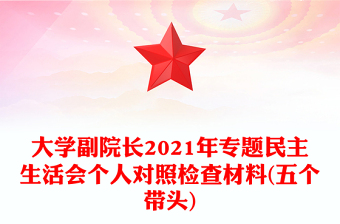 大學(xué)副院長2021年專題民主生活會個(gè)人對照檢查材料(五個(gè)帶頭)