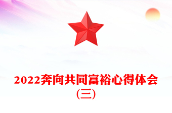 2022奔向共同富裕心得體會(huì)(三)
