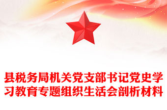 縣稅務局機關黨支部書記黨史學習教育專題組織生活會剖析材料