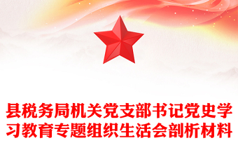 縣稅務(wù)局機(jī)關(guān)黨支部書記黨史學(xué)習(xí)教育專題組織生活會(huì)剖析材料