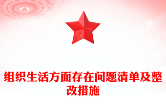 組織生活方面存在問題清單及整改措施