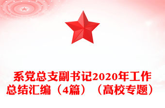系黨總支副書記2020年工作總結(jié)匯編（4篇）（高校專題）