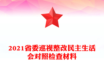2021省委巡視整改民主生活會對照檢查材料