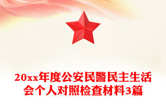 20xx年度公安民警民主生活會個人對照檢查材料3篇