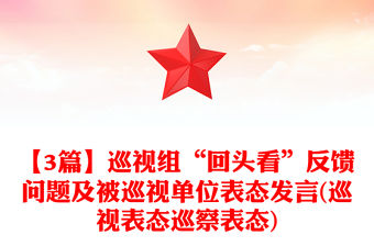 【3篇】巡視組“回頭看”反饋問題及被巡視單位表態發言(巡視表態巡察表態)