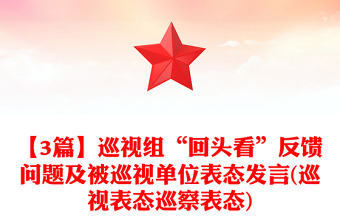 【3篇】巡視組“回頭看”反饋問題及被巡視單位表態(tài)發(fā)言(巡視表態(tài)巡察表態(tài))