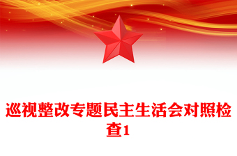 巡視整改專題民主生活會(huì)對(duì)照檢查1
