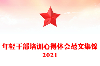 年輕干部培訓(xùn)心得體會(huì)范文集錦2021