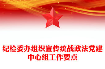 紀檢委辦組織宣傳統戰政法黨建中心組工作要點