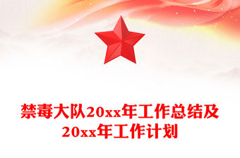 禁毒大隊20xx年工作總結及20xx年工作計劃