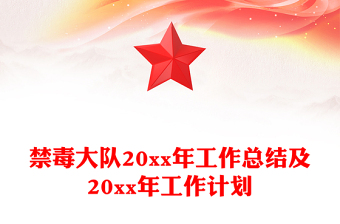 禁毒大隊(duì)20xx年工作總結(jié)及20xx年工作計(jì)劃