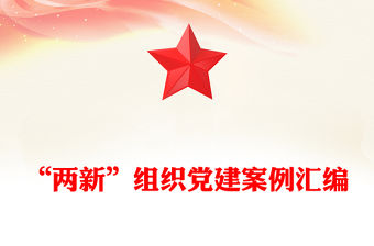 “兩新”組織黨建案例匯編