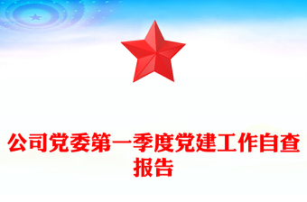 公司黨委第一季度黨建工作自查報告