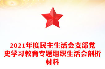 2021年度民主生活會支部黨史學習教育專題組織生活會剖析材料