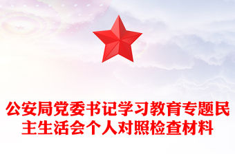 公安局黨委書記學習教育專題民主生活會個人對照檢查材料
