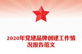 2020年黨建品牌創建工作情況報告范文