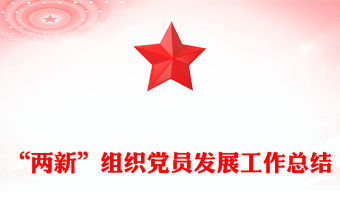 “兩新”組織黨員發展工作總結