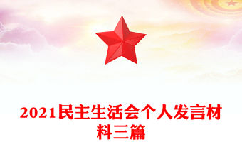 2021民主生活會個人發言材料三篇