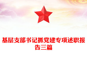 基層支部書記抓黨建專項述職報告三篇