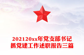 202120xx年黨支部書記抓黨建工作述職報(bào)告三篇