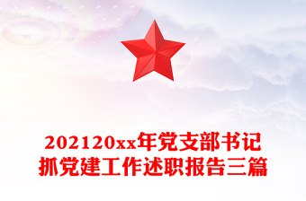 202120xx年黨支部書記抓黨建工作述職報(bào)告三篇