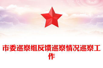 市委巡察組反饋巡察情況巡察工作