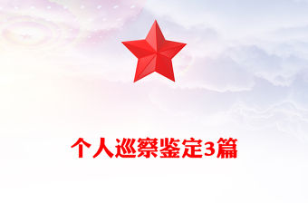 個人巡察鑒定3篇