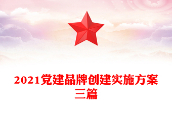 2021黨建品牌創(chuàng)建實(shí)施方案三篇