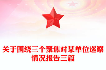 關于圍繞三個聚焦對某單位巡察情況報告三篇