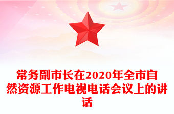 常務(wù)副市長在2020年全市自然資源工作電視電話會議上的講話