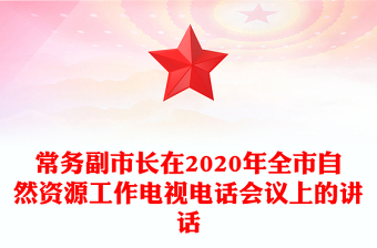 常務(wù)副市長在2020年全市自然資源工作電視電話會議上的講話
