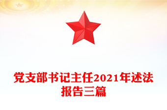 黨支部書(shū)記主任2021年述法報(bào)告三篇