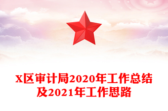 X區(qū)審計(jì)局2020年工作總結(jié)及2021年工作思路