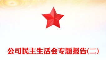 公司民主生活會專題報告(二)