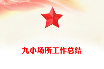 九小場所工作總結(jié)