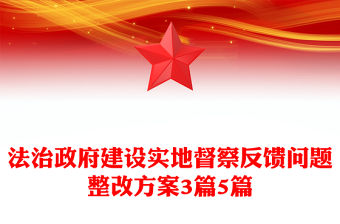 法治政府建設實地督察反饋問題整改方案3篇5篇