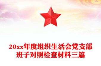 20xx年度組織生活會黨支部班子對照檢查材料三篇