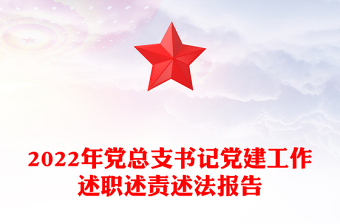 2022年黨總支書記黨建工作述職述責述法報告