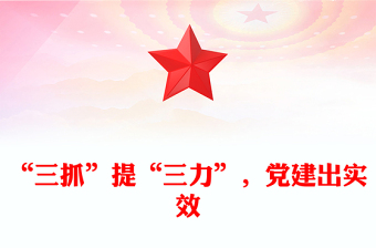 “三抓”提“三力”，黨建出實效