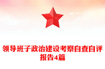領導班子政治建設考察自查自評報告4篇