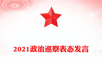 2021政治巡察表態發言